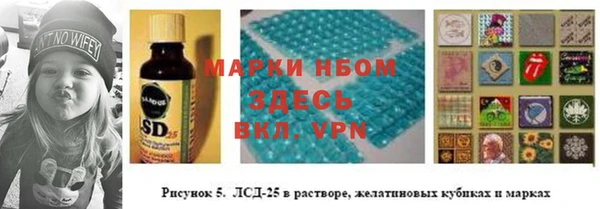 2c-b Осинники