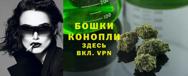 дмт Осташков