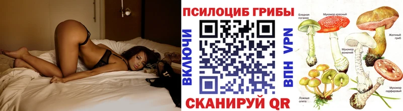 Галлюциногенные грибы Psilocybine cubensis  Нижняя Тура 